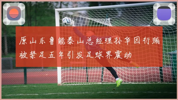 原山东鲁能泰山总经理孙华因行贿被禁足五年引发足球界震动